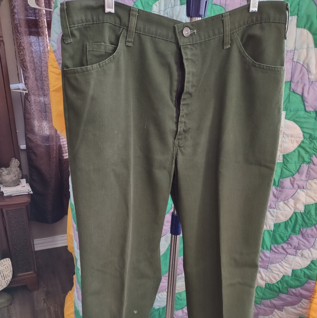 588 Levis StaPress Green Pants 588 Levis StaPress Green Pants